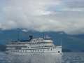 Another Cruise Boat